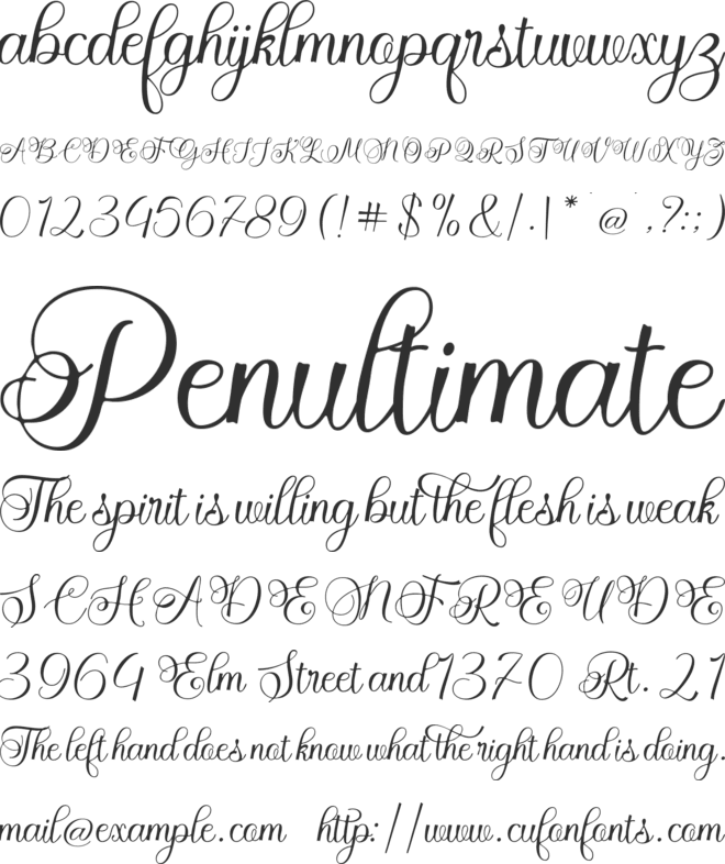 Reginald Script font preview