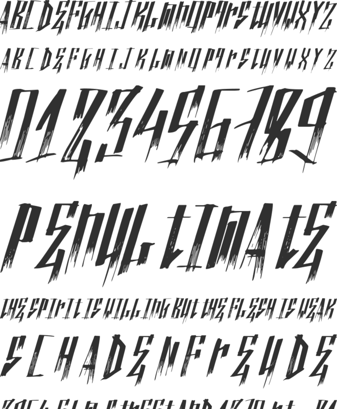 NuevoTrenta font preview