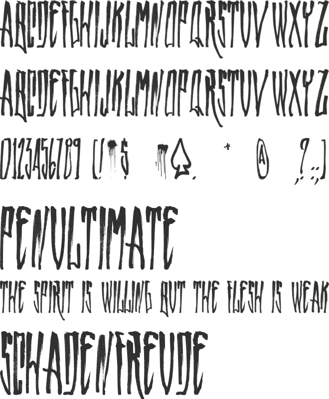 WALLRIDER font preview