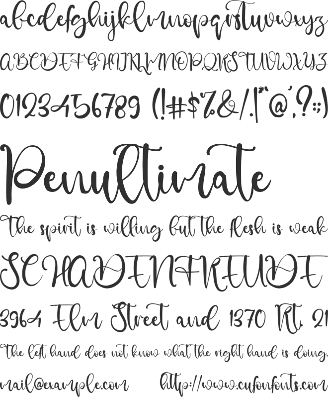 Dolphins Font 