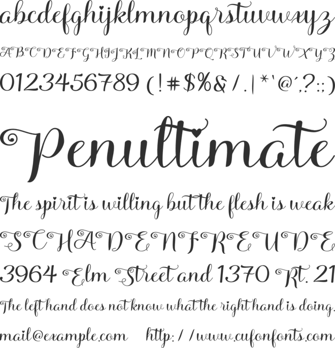 Kittya Script font preview