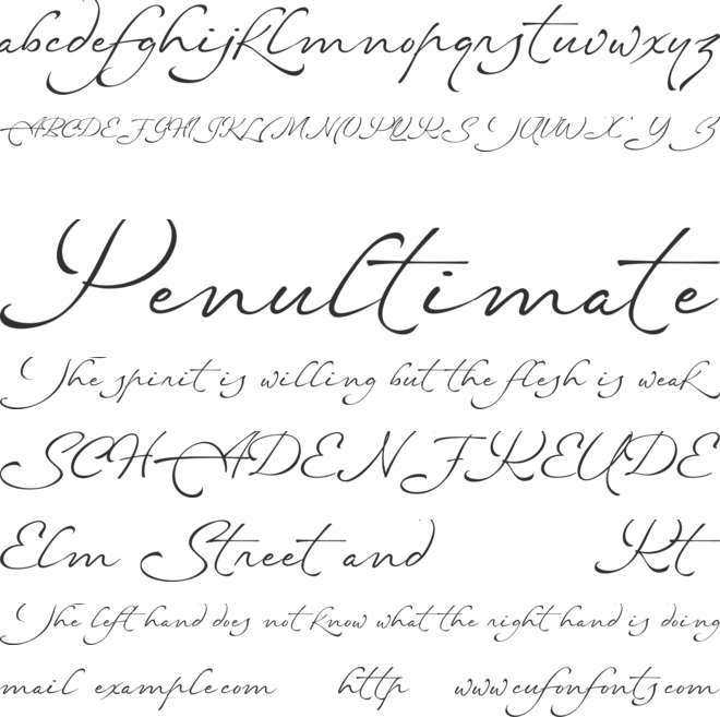 Netherfield - Personal Use font preview