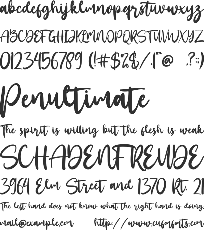 Santtuy font preview