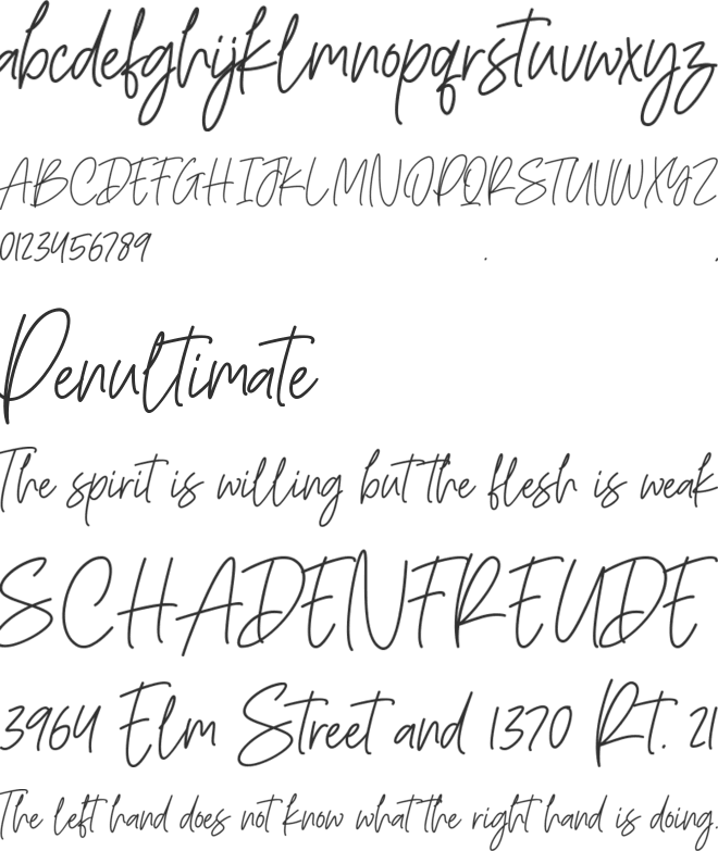 Richella font preview