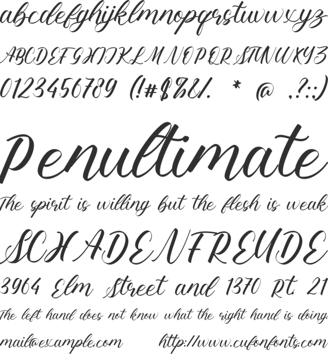 Shamika Taniya font preview