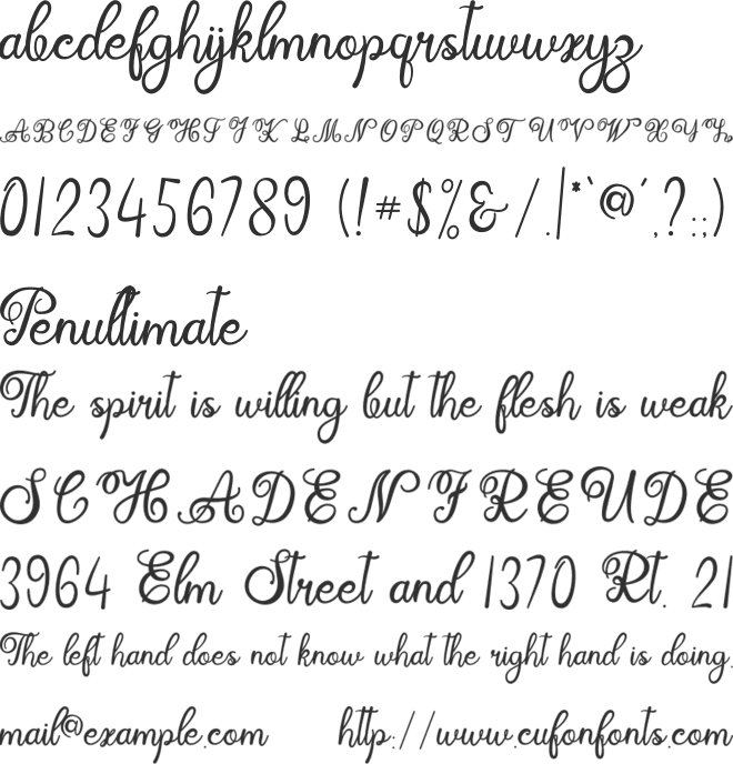 ayushita font preview