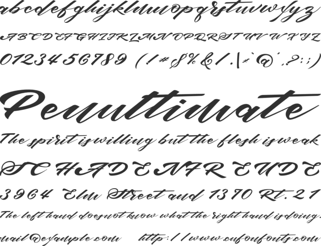 bruke font preview