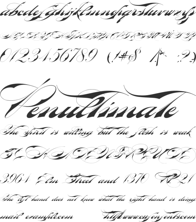 Bradstone-Parker Script Limited Free Version font preview