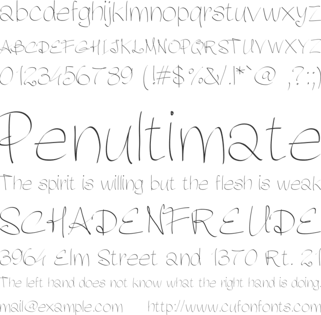 PWFluidhand font preview