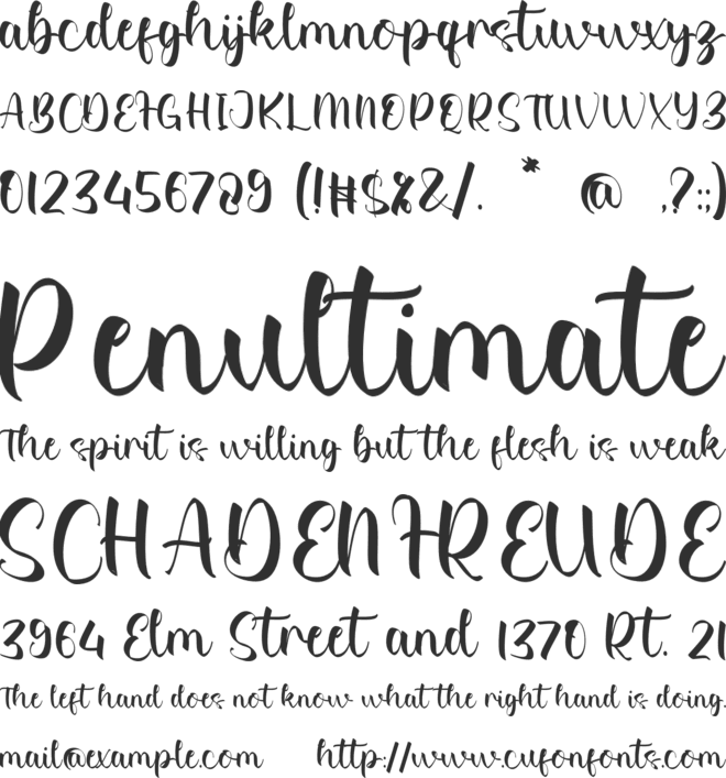 Nadia Kamryn font preview