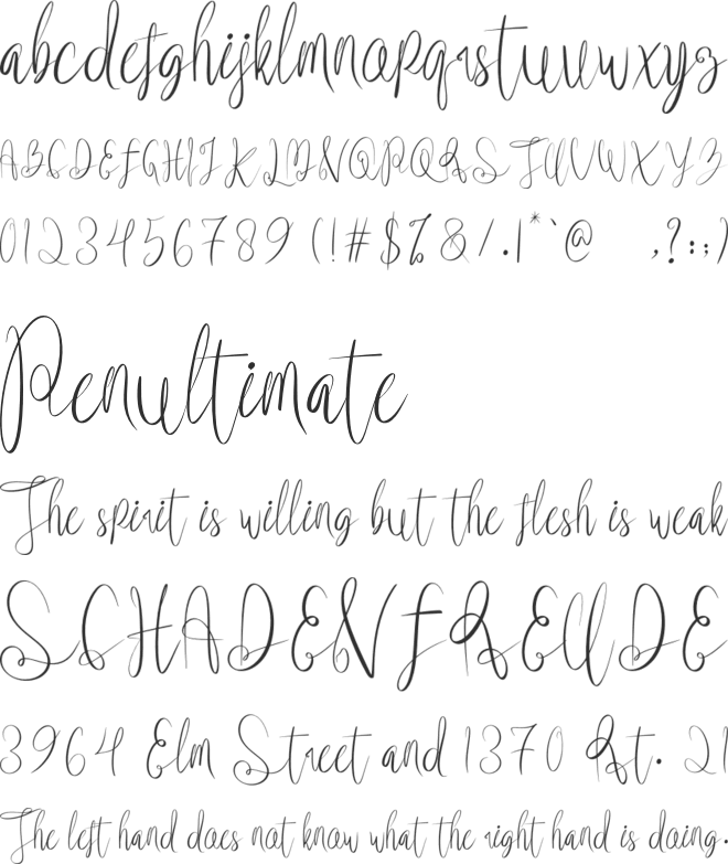 Yidemts font preview