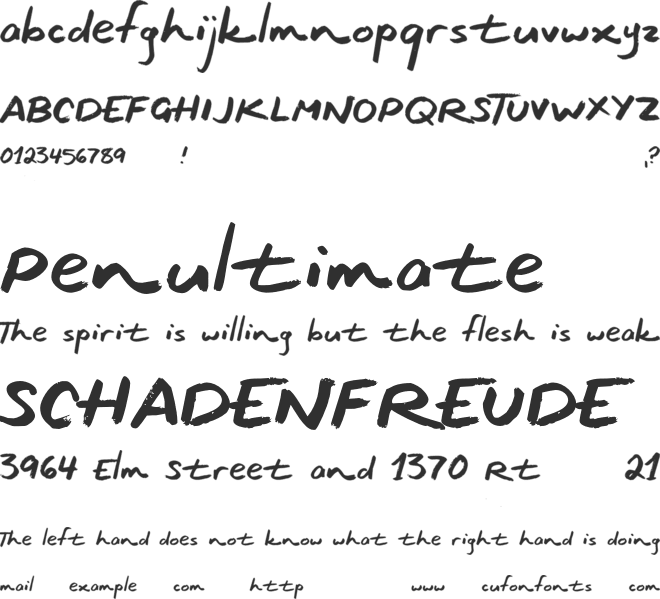 Ocean Coastlines font preview