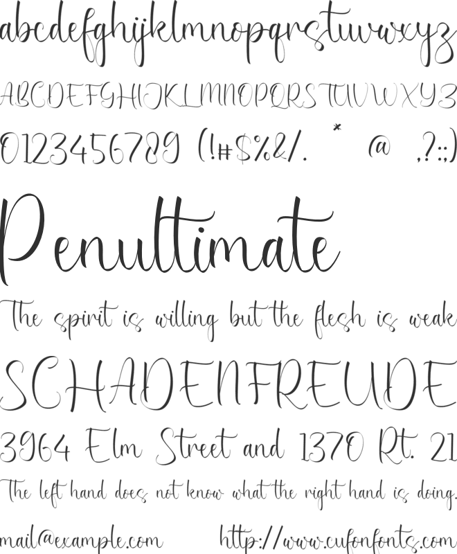 Kimberly Dickens font preview