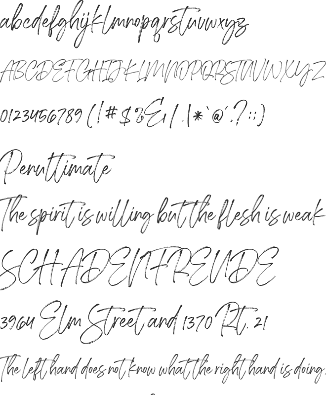 Southgirl Demo font preview