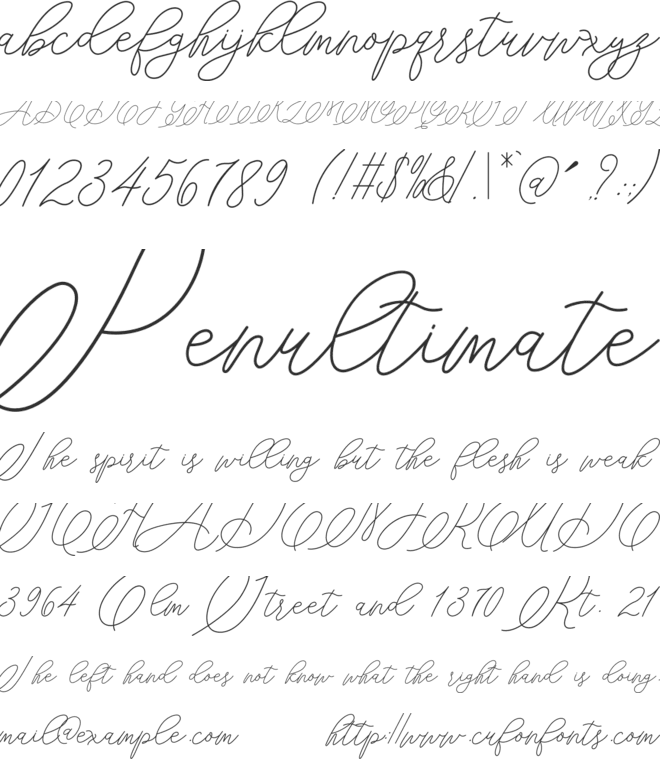 mondayline font preview