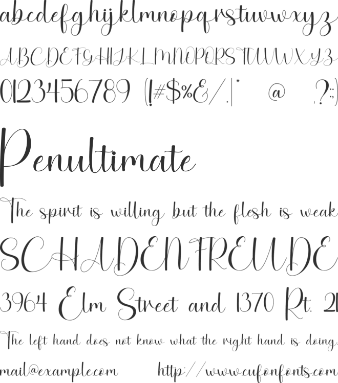 Angellica font preview