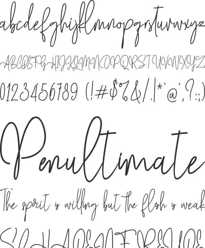 Mollaroid font preview