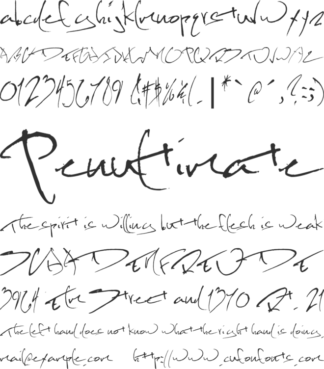 KevinWild font preview