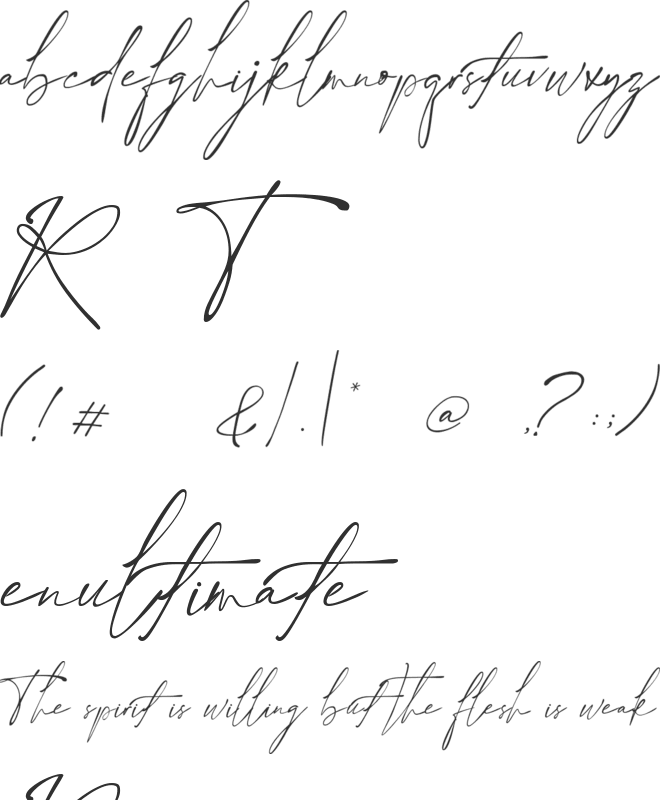 Rhythem Signature font preview