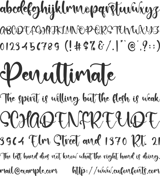 Hillary Samantha font preview