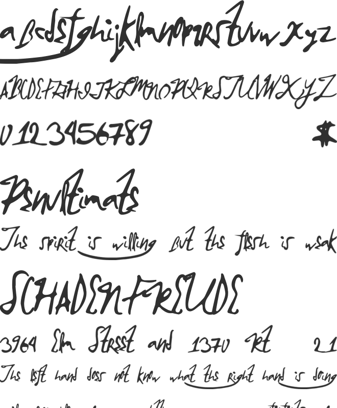 BrokenMustangs font preview