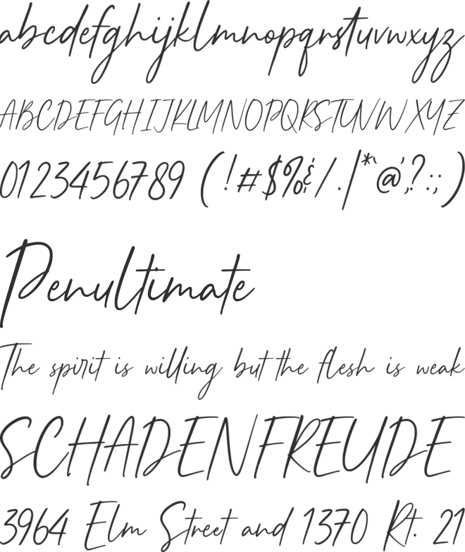 Carera Bernadia font preview