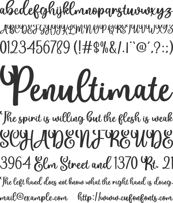 Wednesday Fonts