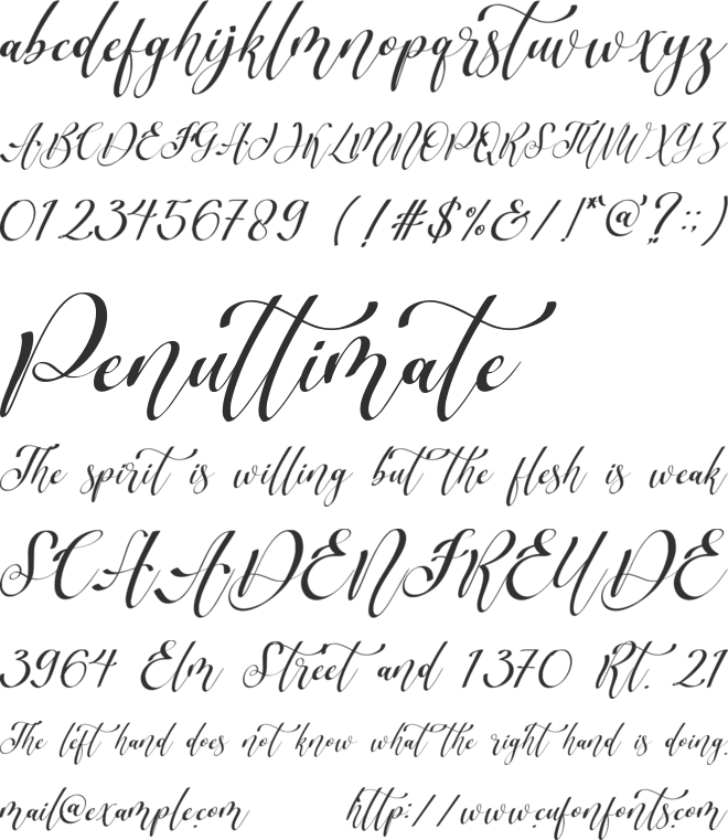 Scripthome font preview