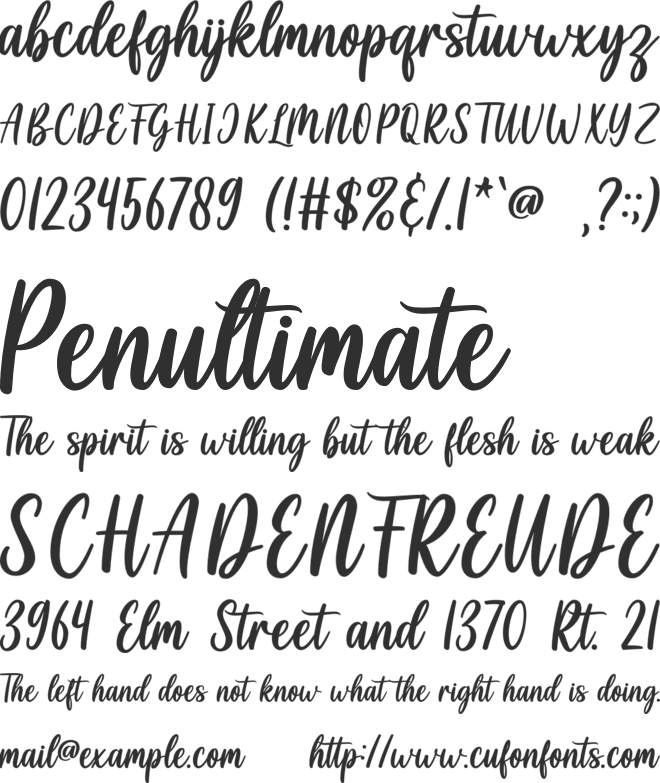 Cayla Stylish font preview