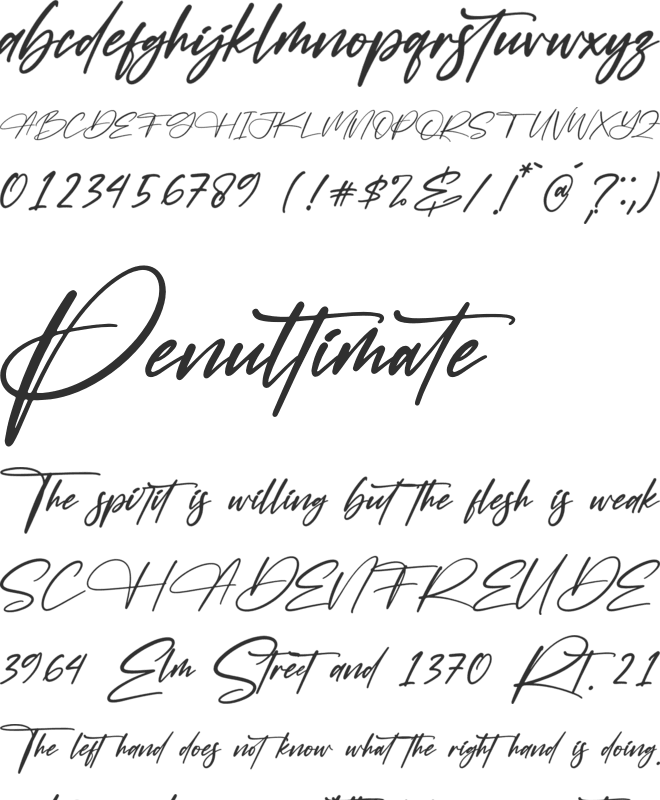 Falernola font preview