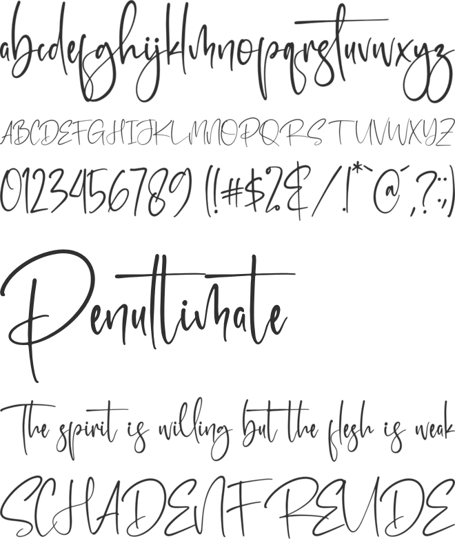 Patricksta font preview