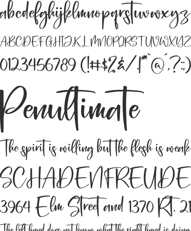 Berlina Dreams font preview