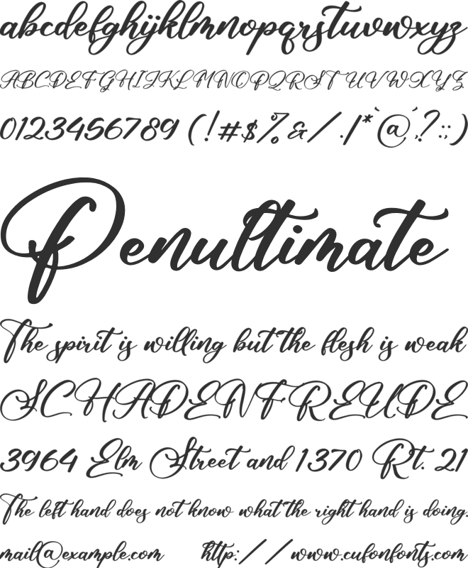 Alisha Cintia font preview