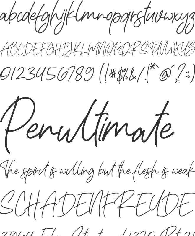 Rafaella Signature Font Family : Download Free for Desktop & Webfont