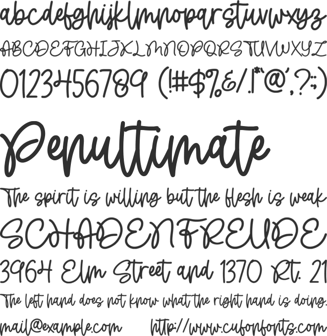 Splashline font preview