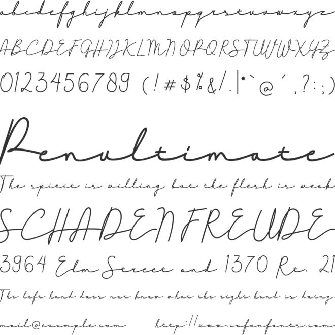 Signashine font preview