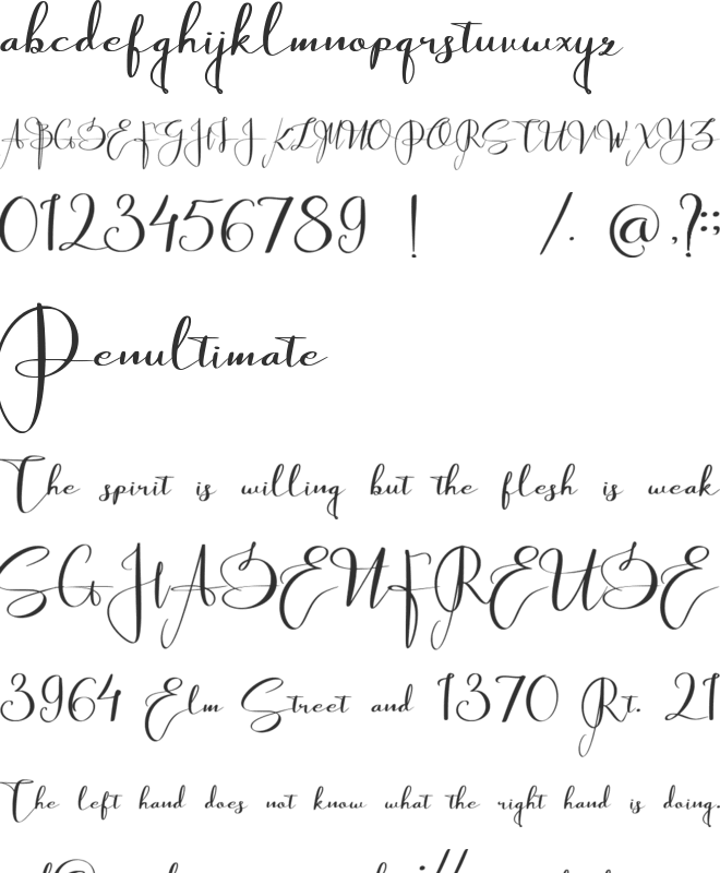 Thousand Sunnygo font preview