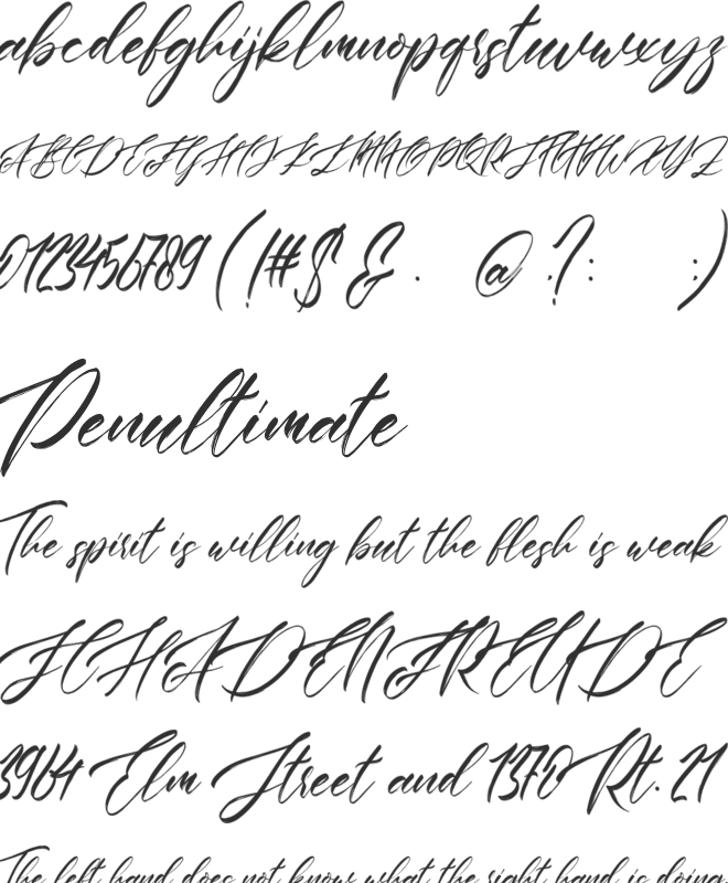 Antartika font preview