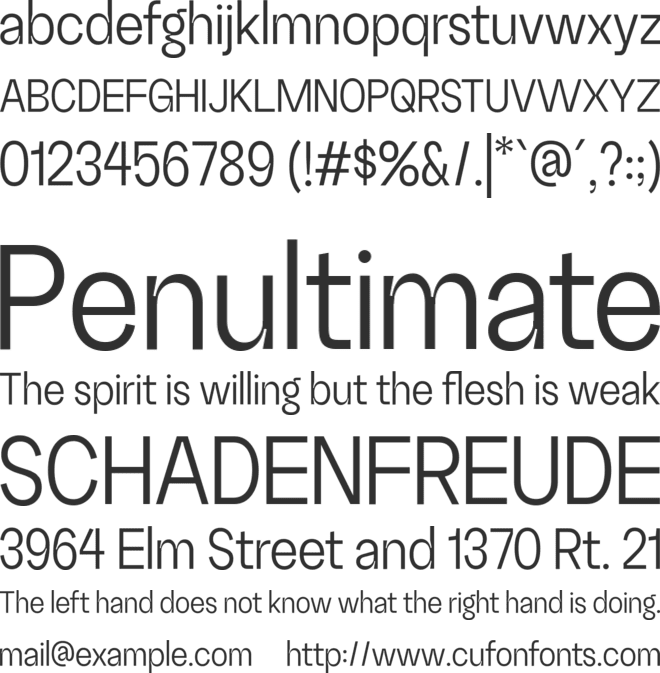 Random Grotesque Standard font preview