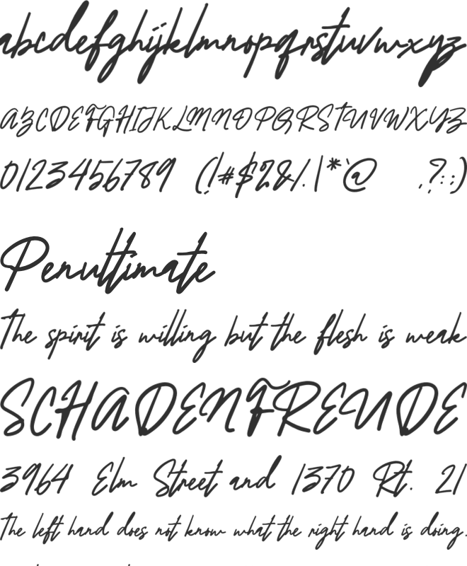 BerlinaSignature font preview