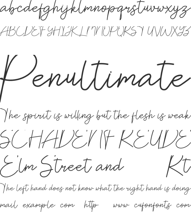 Rossa font preview