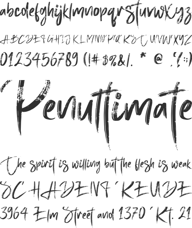 Brigitta Signature - Personal u font preview