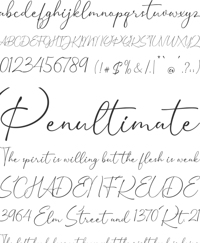 Estela Silva font preview