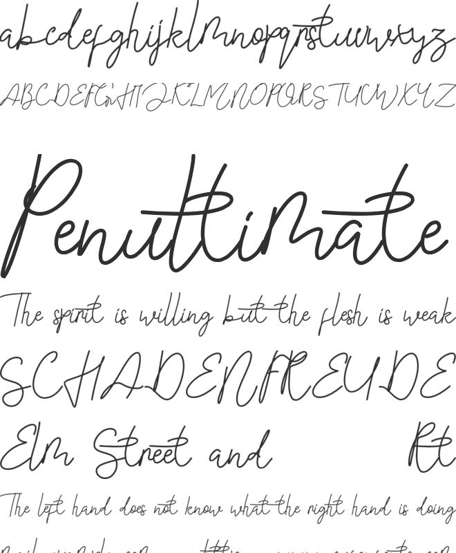 Shasine Time Demo font preview