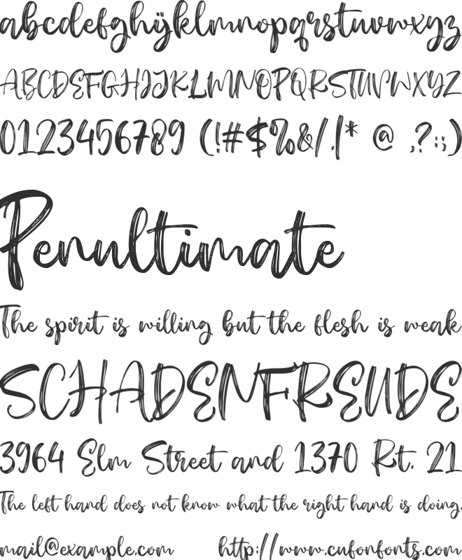 Hametts font preview