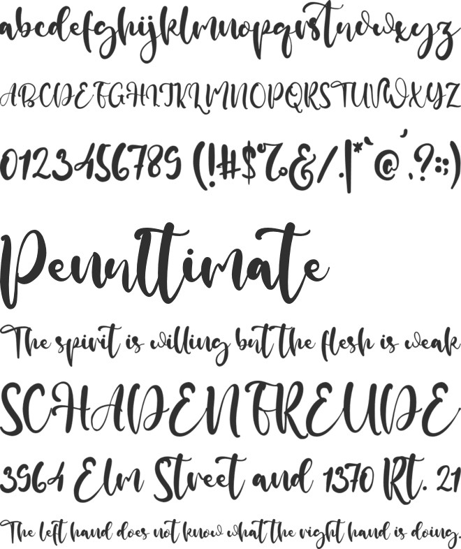 Plainstall font preview