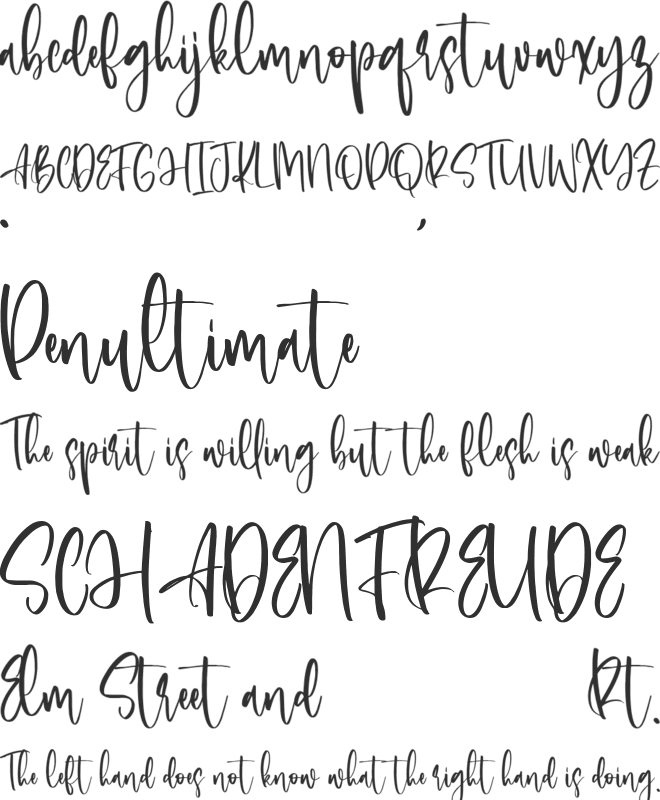 Sallytine font preview