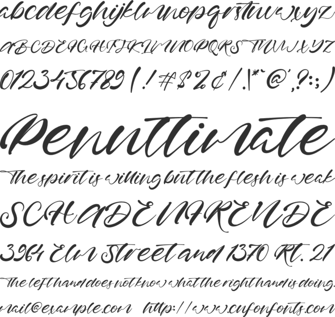 Honey Tree font preview