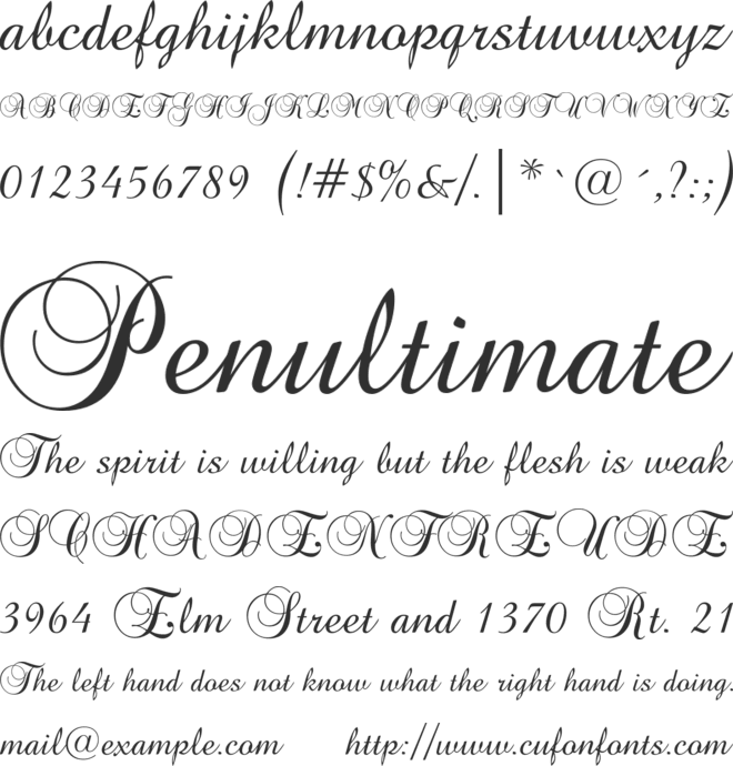 Unfinished Cursive Single Wooden Letter in Brock Script Font