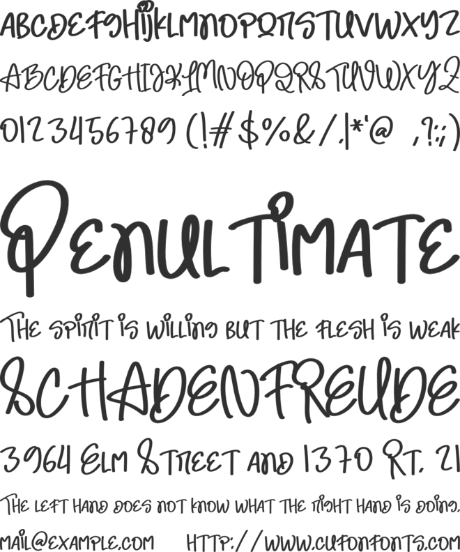 Night Full Of font preview